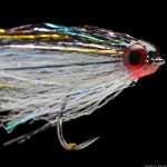 Fliegenfischer-Tag 2019